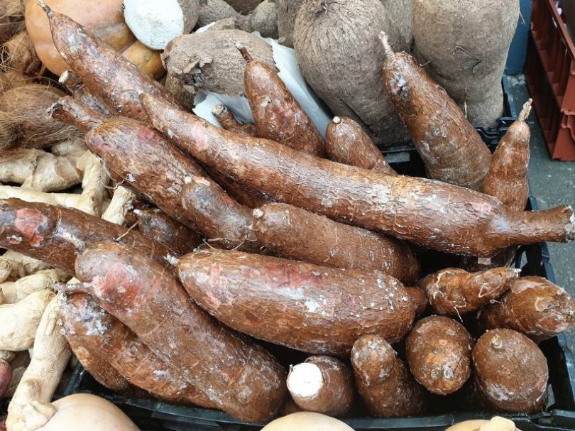 Manióka - Kasszava, Manihot esculenta, gyökérzöldség, zöldség